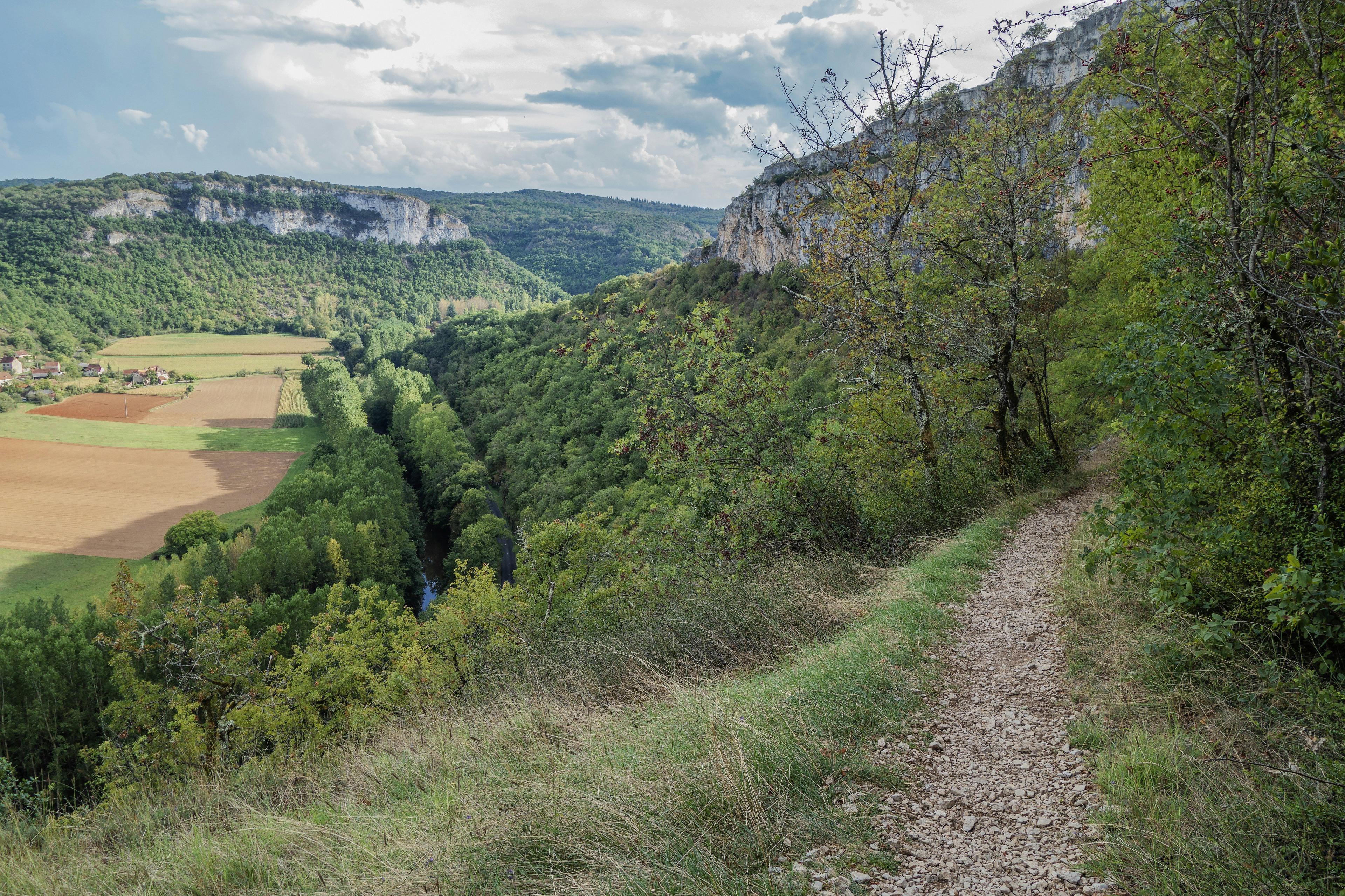 Tout sur la Chasse en OCCITANIE: Espèces de gibier, périodes de chasse, associations et clubs locaux, réglementation régionale