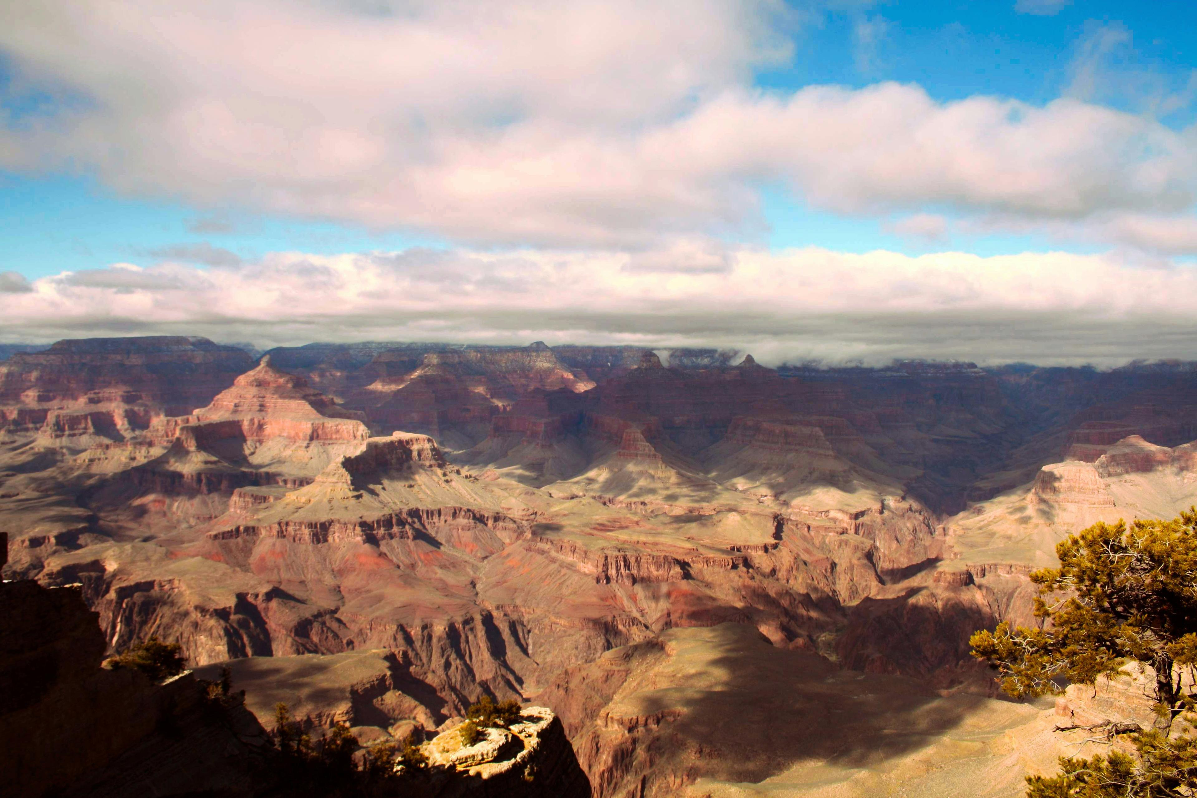 Utah Limited-Entry Hunts: Demographics, Associations and Clubs, Legislation, Hunting Seasons.
