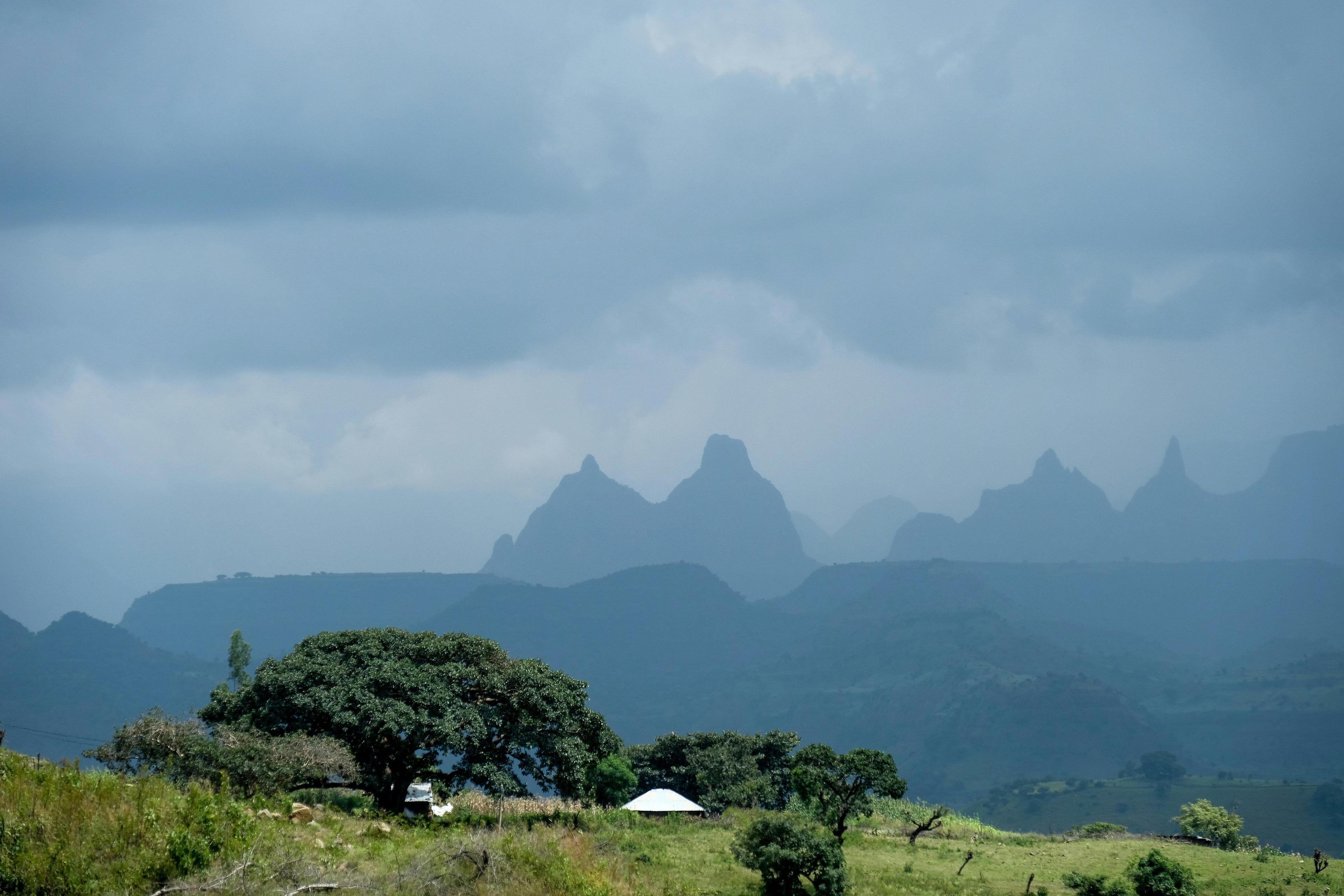 Exploring Southwest Ethiopia Hunting: Unveiling Stunning Regional Features, Navigating Essential Laws, and Discovering Hidden Unique Facts – A Journey into the Wild