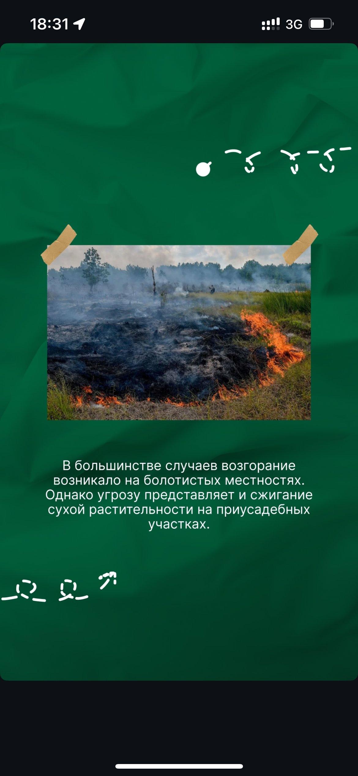 Карта запретов и ограничений на посещение лесов в районах Республики Беларусь