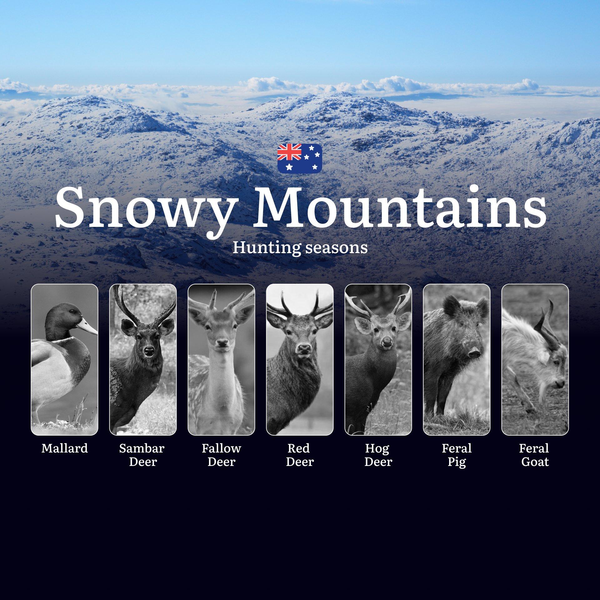 Secrets of the Snowy Mountains: When the Wild Calls – Hunting Seasons, Tactics & Trophy Moments in Australia's High Country