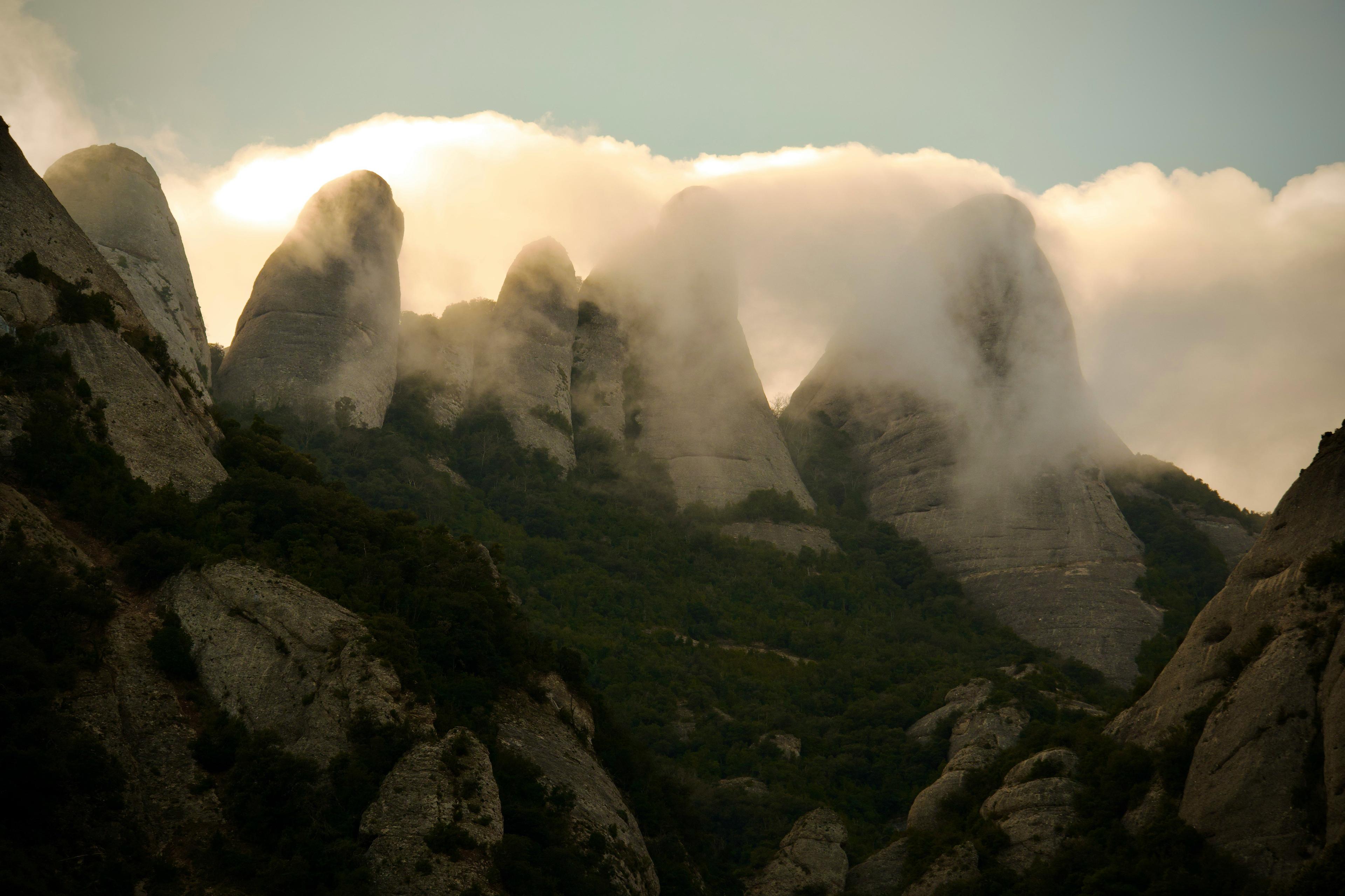 Caza en el País Vasco: Práctica Cinegética Entre Bosques Atlánticos, Montañas y Cultura Vasca Tradicional
