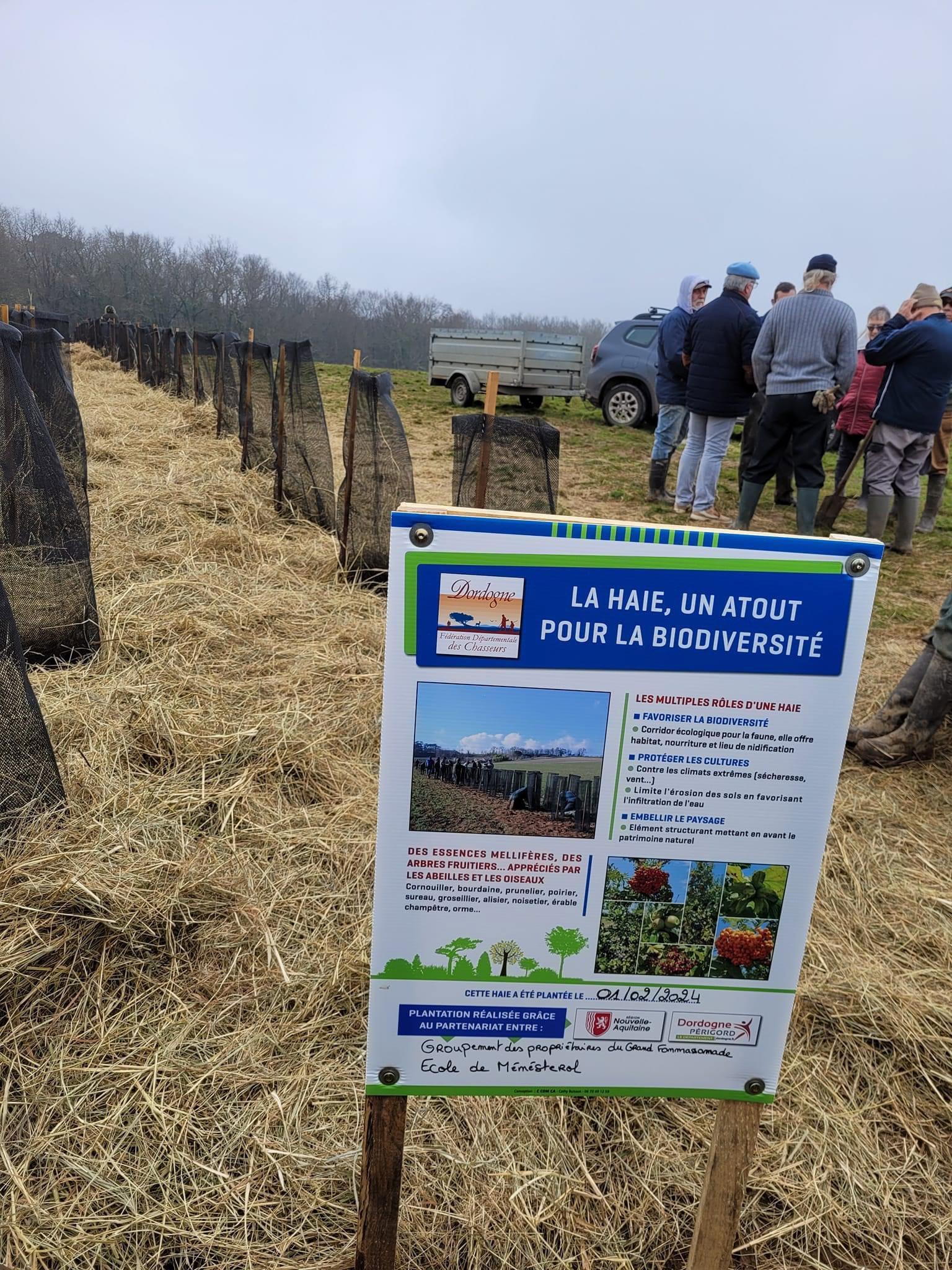 La semaine dernière, deux nouvelles haies ont vu le jour, à Condat sur Vézère et à Montpon (limite Eygurande et Gardedeuil).