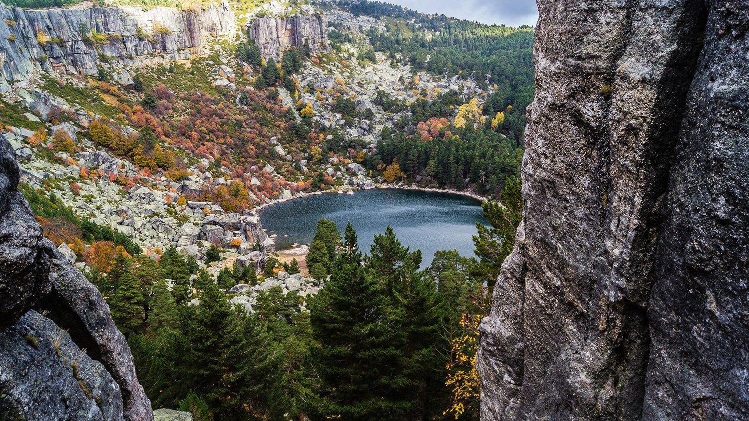 Caza en Castilla y León: Explora los Mejores Terrenos de Caza Mayor y Menor Entre Valles, Montañas y Bosques del Norte