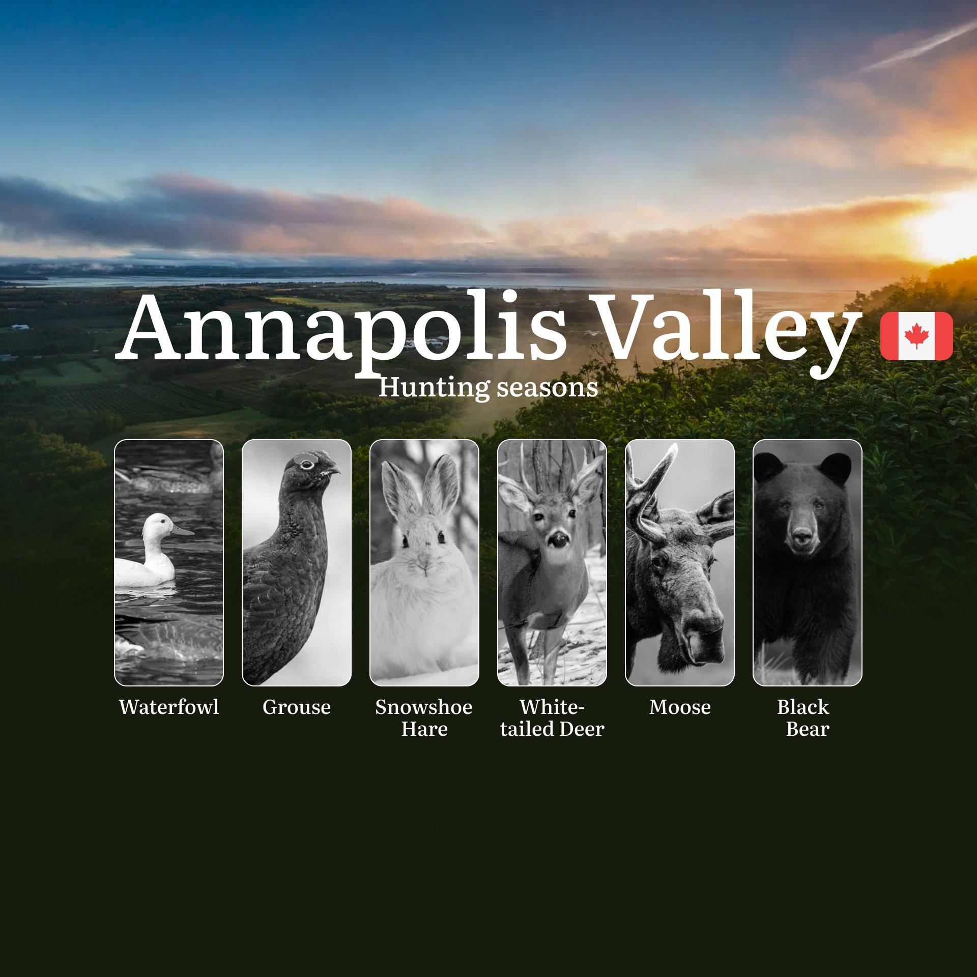 Hunting Seasons in ANNAPOLIS VALLEY: Essential Opening and Closing Dates, Required Licenses and Key Rules