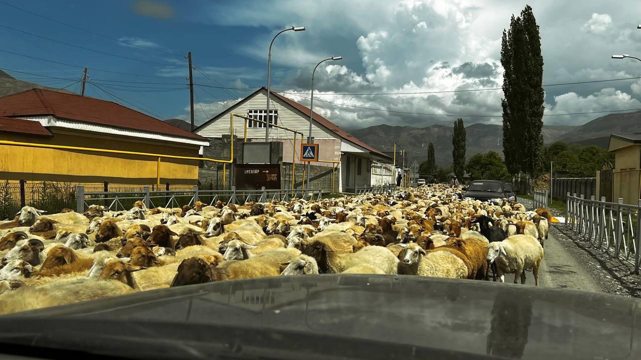 Pa malo boja južnog Dagestana!