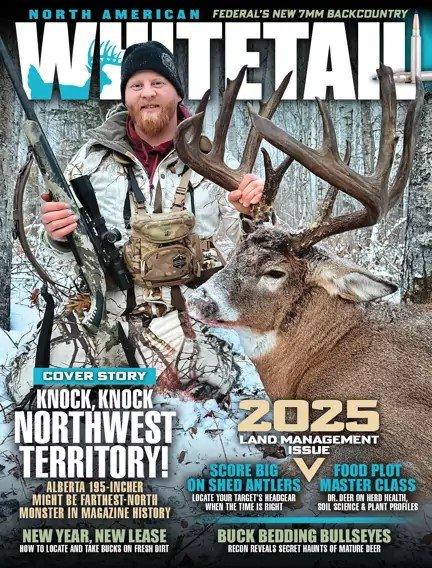 North American Whitetail