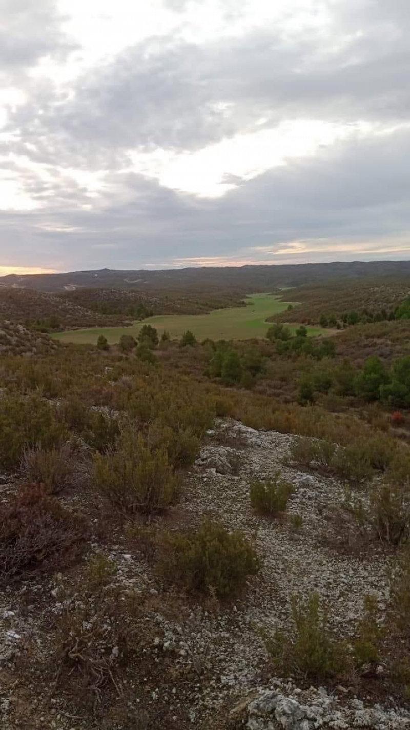 Pina de Ebro, Saragosse, Espagne