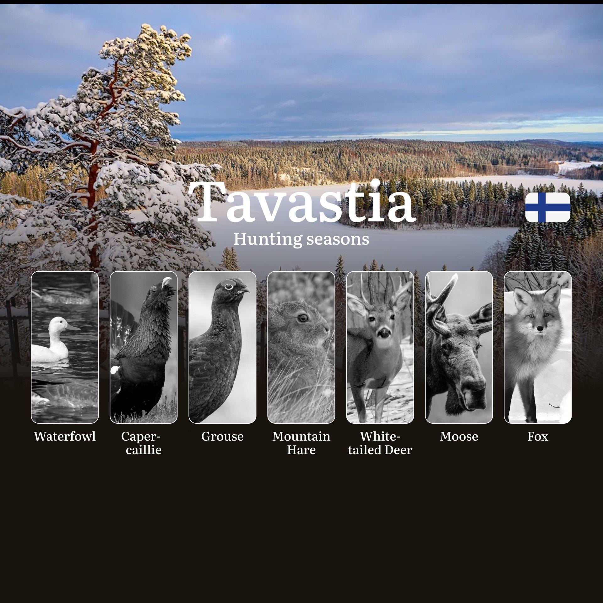 Hunting Seasons in TAVASTIA (HÄME): Opening and Closing Dates, Protected Species, Required Licenses and General Hunting Rules