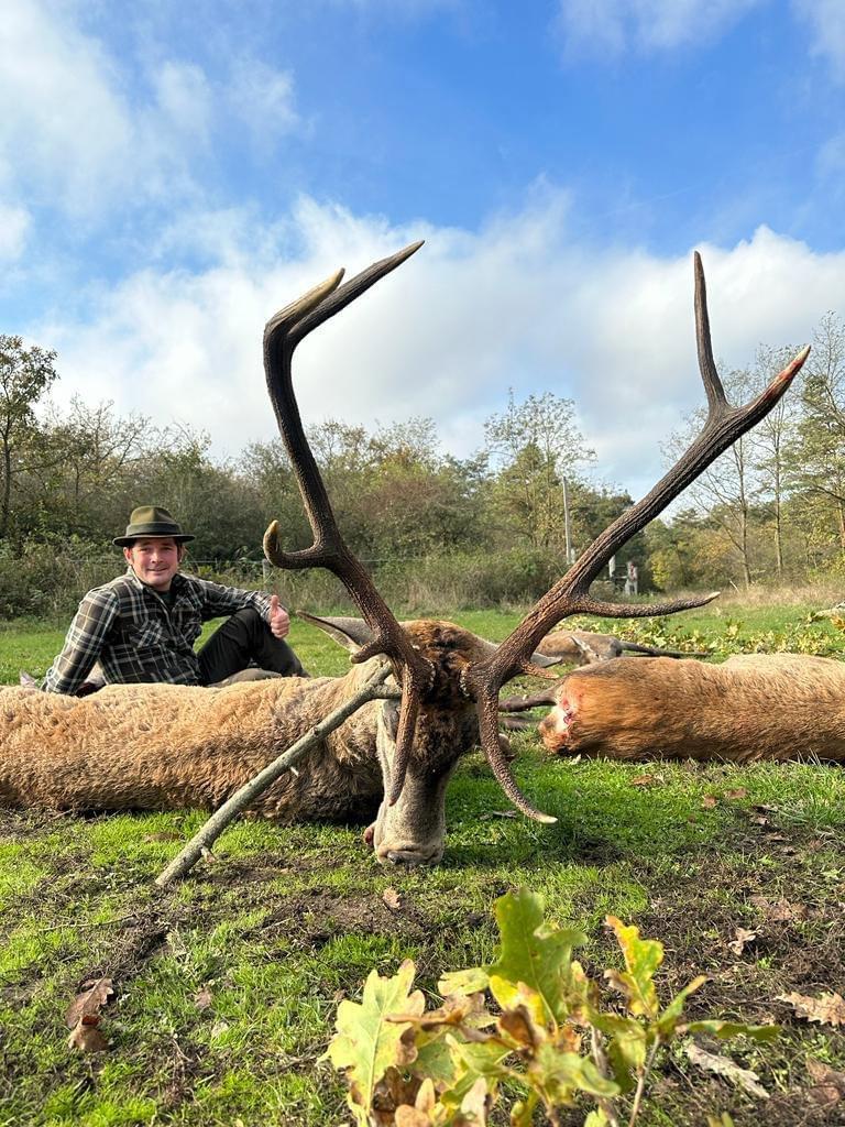 🇭🇺🐗🦌🌿