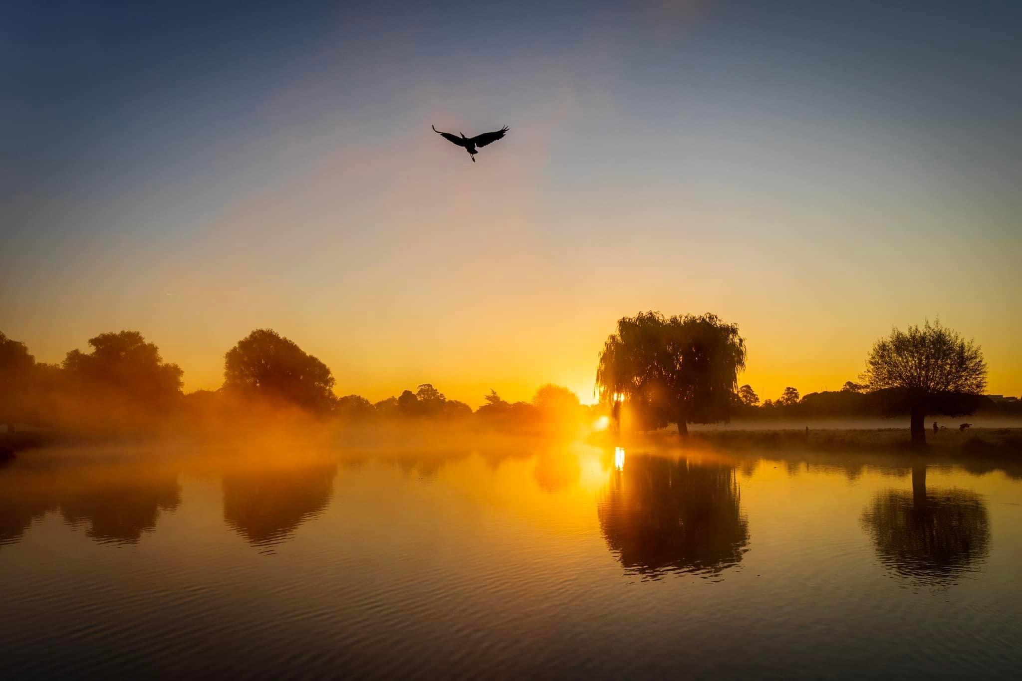 A Wonderful Start to the Day at Bushy Park's Leg of Mutton Pond - 28.09.24