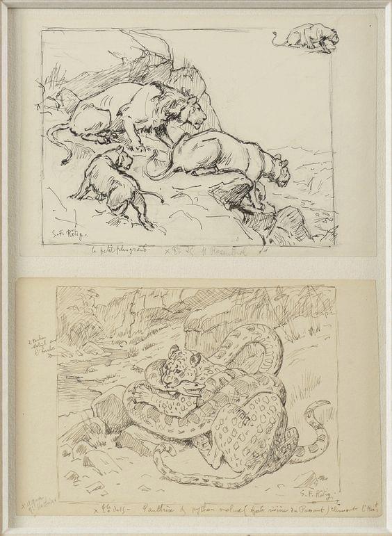 Wildlife art by Georges Frederic Rotig  (1873-1961)
