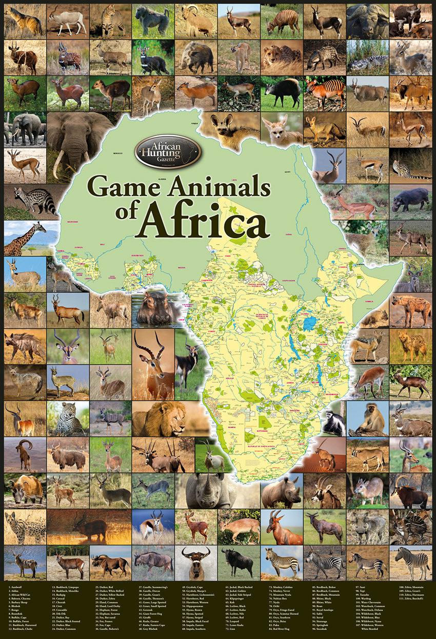 African Hunting Gazette 