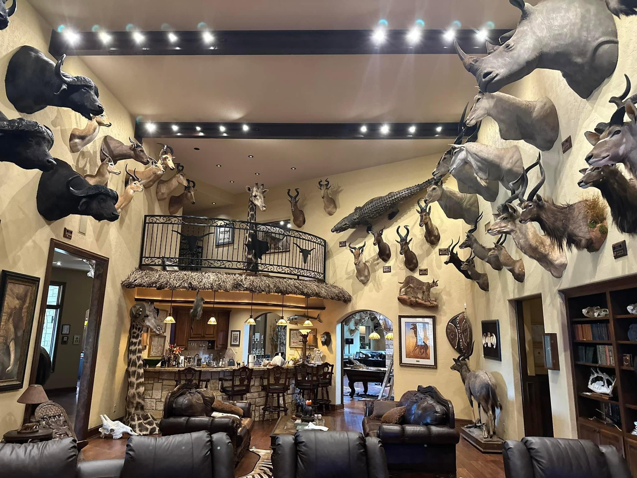 New trophy room additions!!