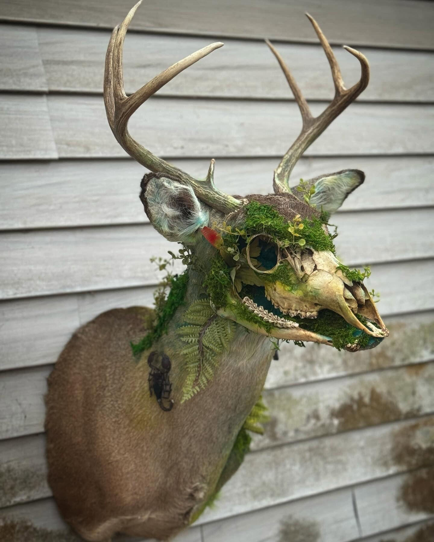 🌿Wendigo🌿