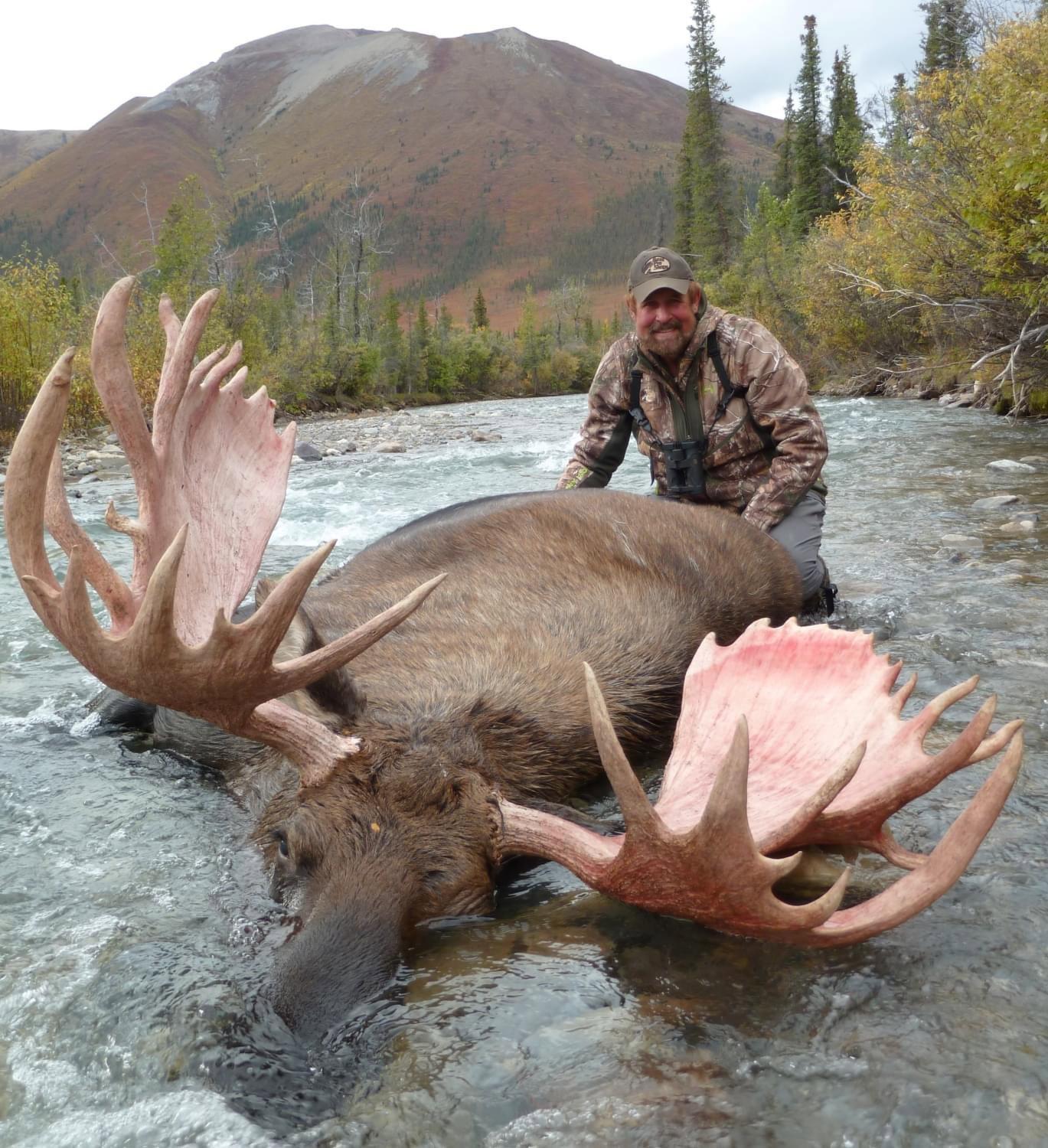 CANADIAN NORTHWEST TERRITORIES MOOSE & MOUNTAIN CARIBOU HUNT FOR 2 HUNTERS.