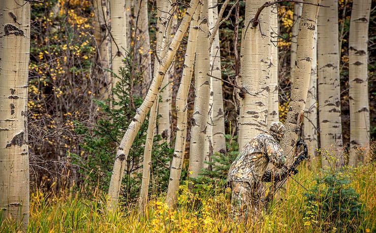 7 Reasons Why OTC Elk Tags Beat Draw Tags