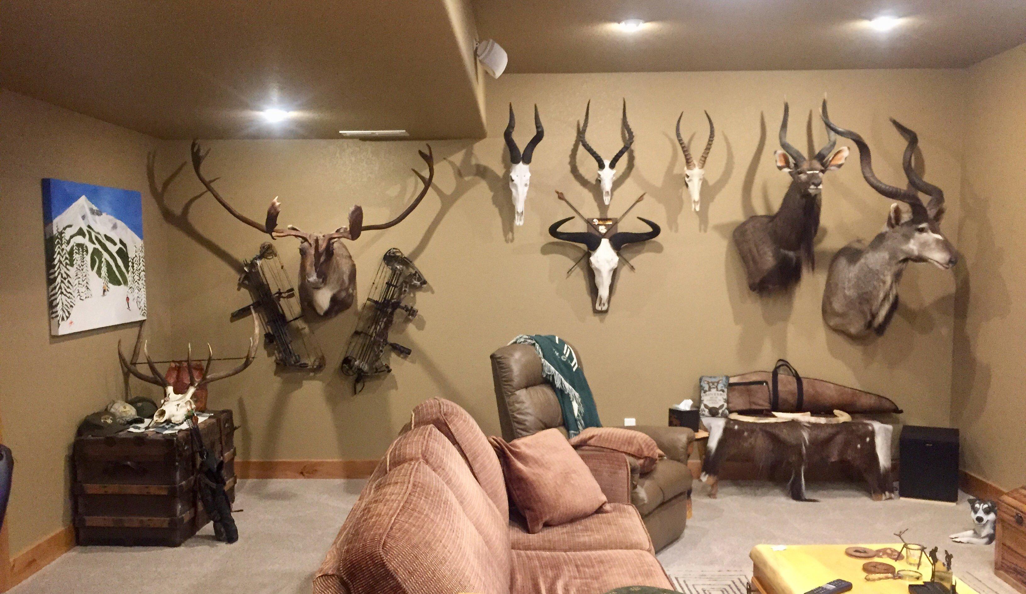 5 Tips to Set Up a Hunting Trophy Room!