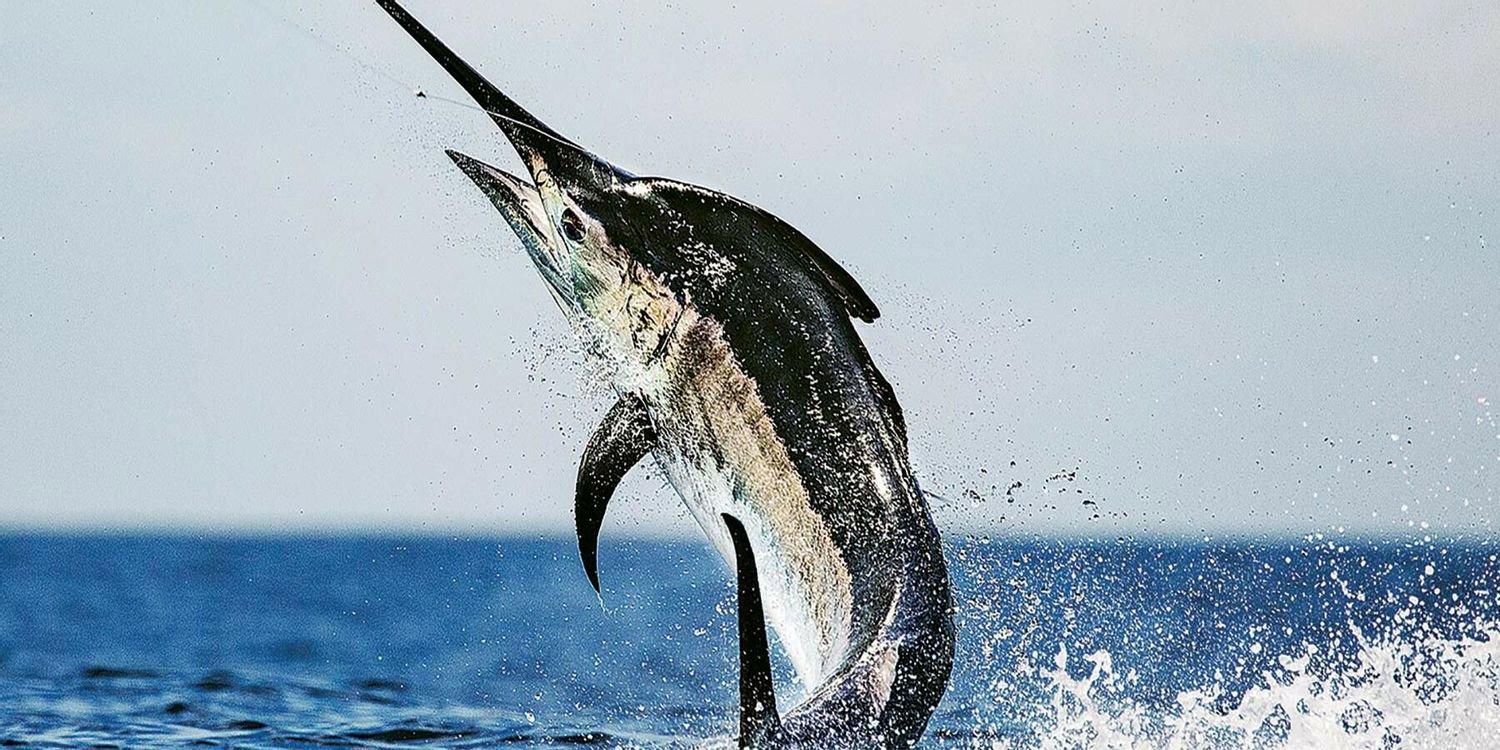 The 10 Most Exotic Fishing Destinations From Around The World!