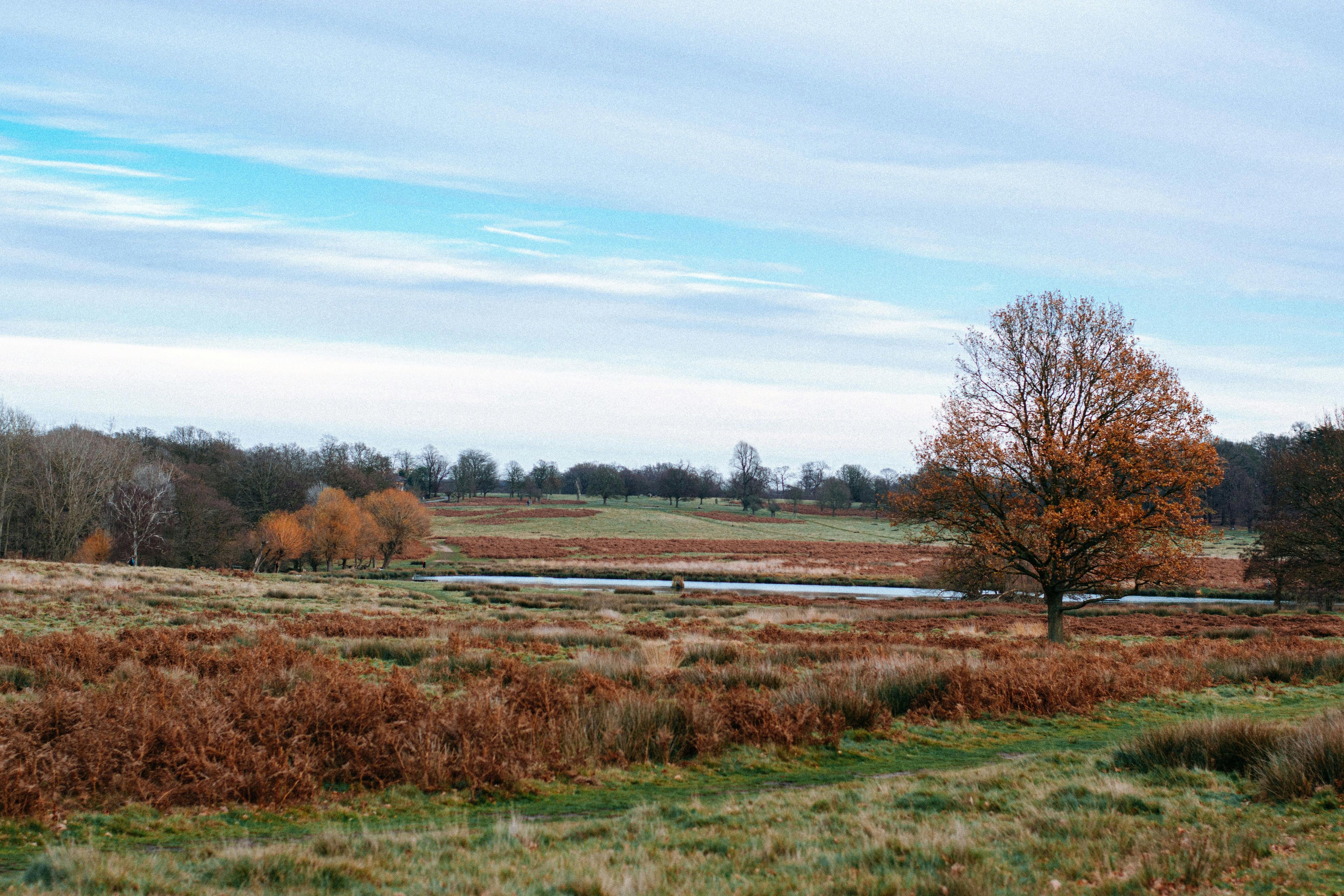 Hunting in Powys, Wales: geographical and natural features of the region, hunting seasons, interesting facts and traditions