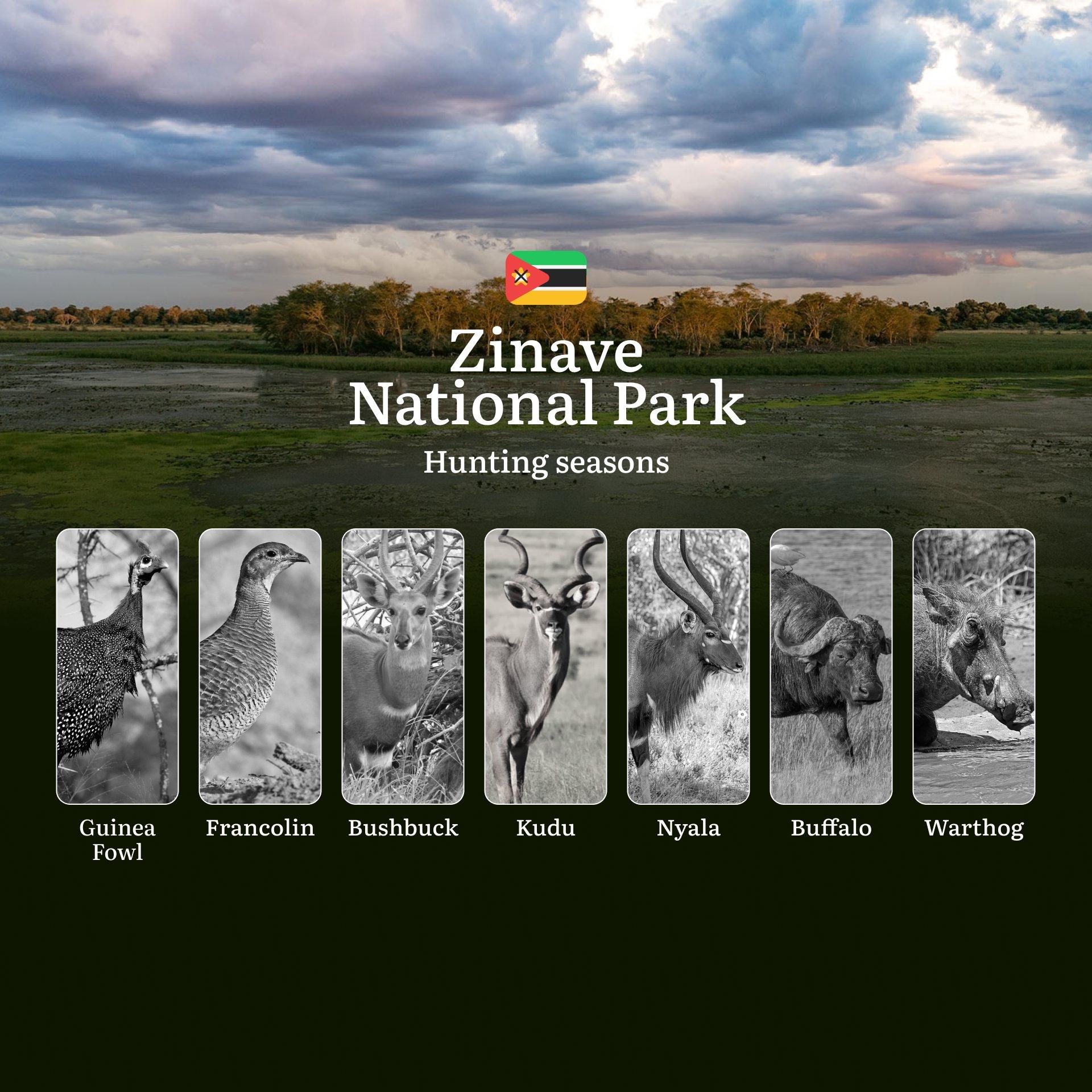 Zinave National Park Hunting Calendar: Hunting Seasons in Mozambique's Most Ambitious Wildlife Recovery Zone
