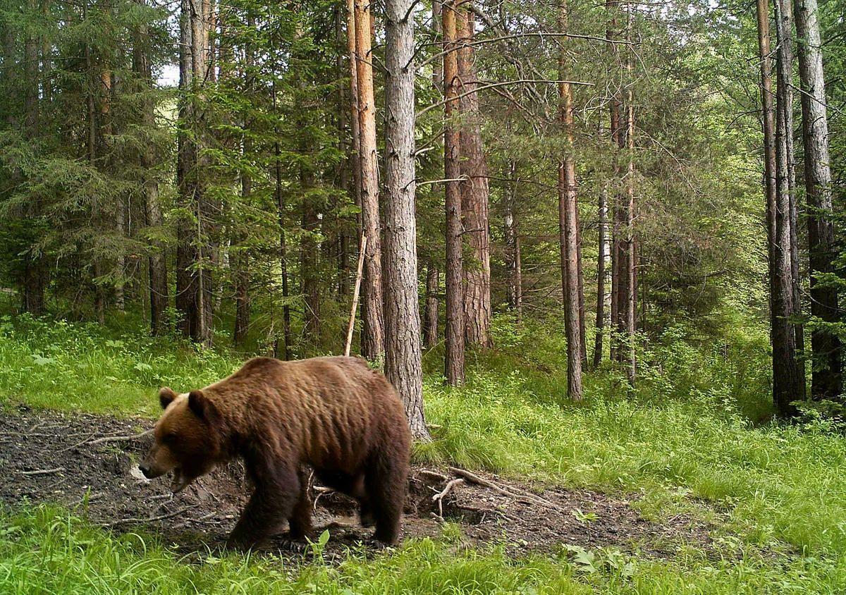 Добрый день)