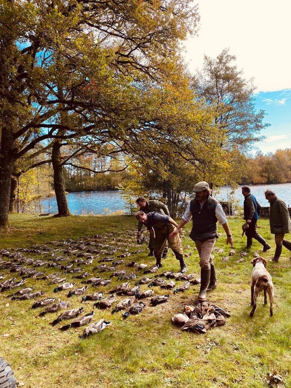 Ducks hunting by Cosme