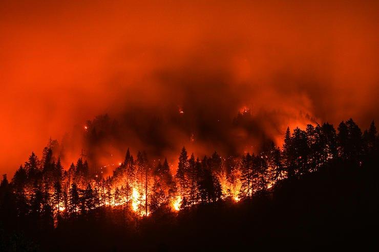 8 Things to Know About Drought and Western Big Game Hunting