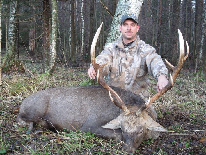 Deer hunting in Russia