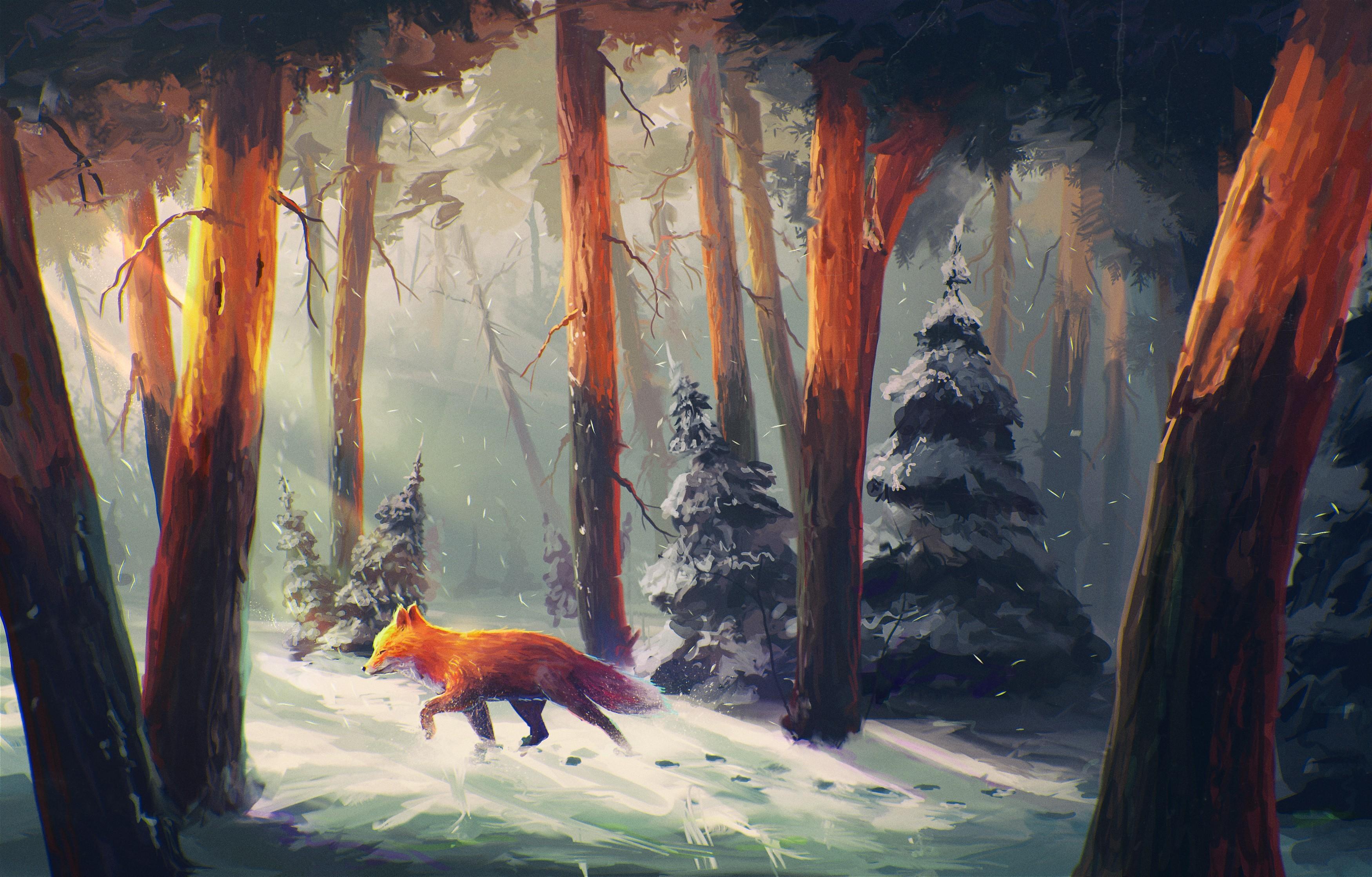 The Witcher