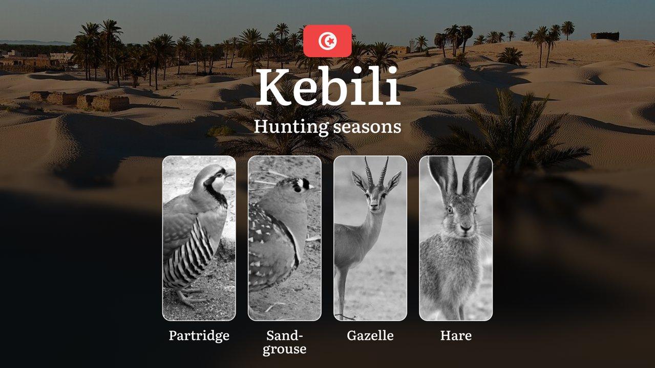 Hunting Seasons in KEBILI: Key Periods, Game Activity, Species-Specific Restrictions, Legal Consequences and Practical Recommendations