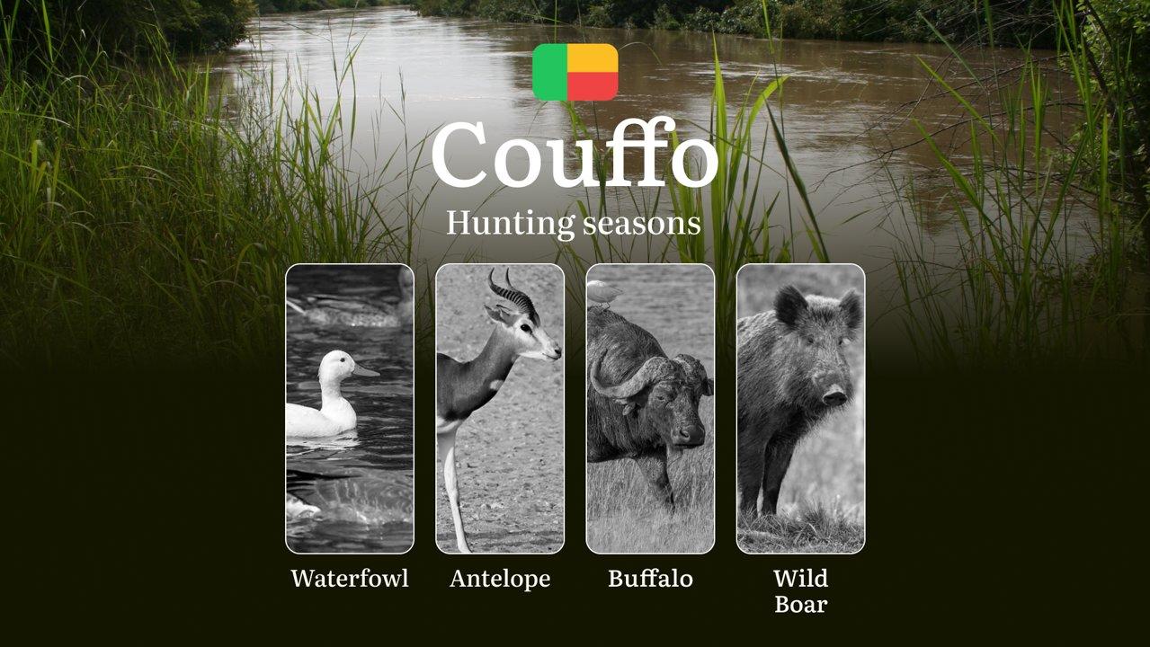 Hunting Time in Benin, COUFFO Region: Key Dates and Rules, Restrictions and Bans, Practical Tips of Choosing the Right Time and Location
