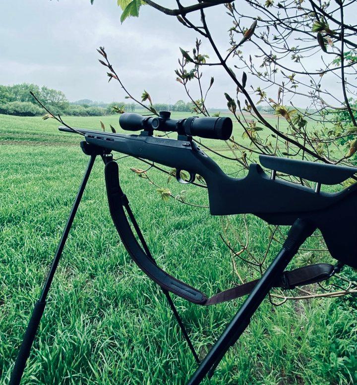 Sauer 100 Pantera Review: Bolt-Action Hunting Rifle in 6.5 Creedmoor & .223 Rem

Table of Contents Sauer 100 Pantera

1. Overview Sauer 100 Pantera
2. Available Modificat