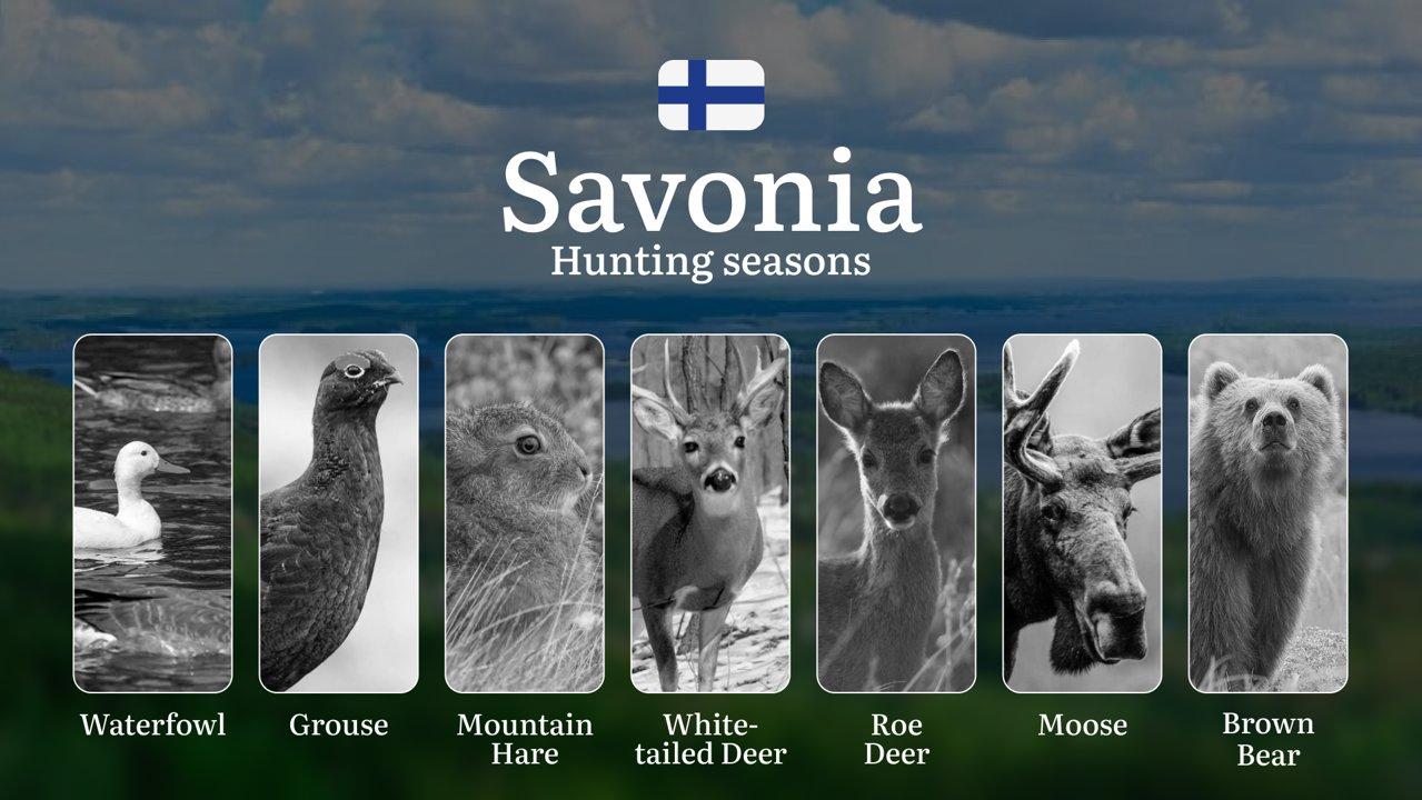 Hunting Seasons in SAVONIA (SAVO): Opening and Closing Dates, Game Activity,  License Requirements and Vital Rules

Savonia, or Savo, is a prime hunting destination in Fi