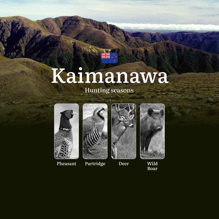 Hunting Seasons in New Zealand, Features of the KAIMANAWA Ranges Region: Rules and Seasonality of Hunting, Prohibitions and Restrictions, Penalties for Violating Hunting