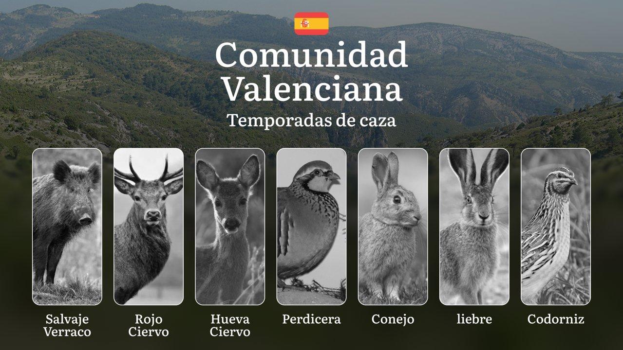 Temporadas y períodos <strong>de</strong> <strong>caza</strong> en VALENCIANA: Calendario por Especies, Normativas y Requisitos Legales

La Comunidad Valenciana es un des