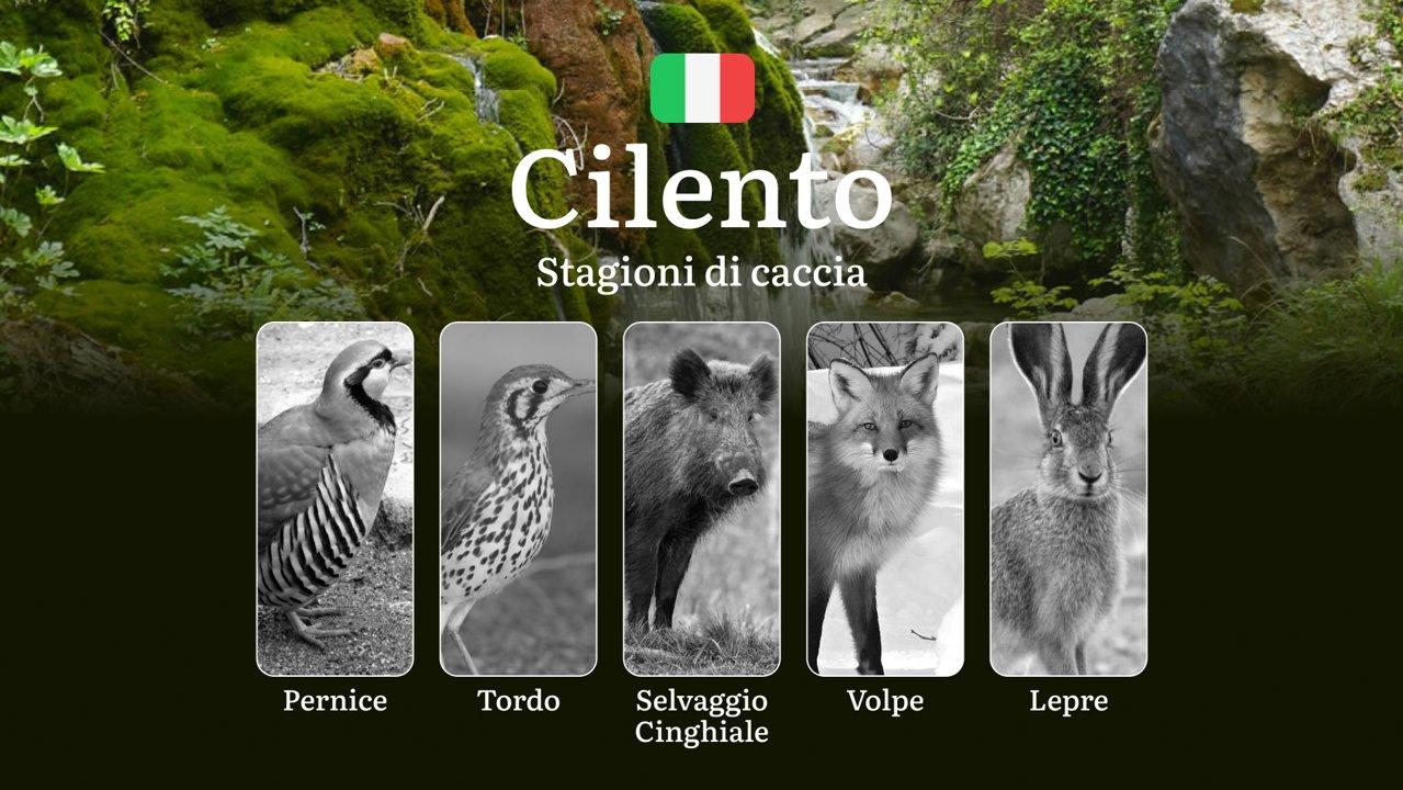 Caccia nel Cilento: Il Calendario Venatorio, Stagioni per Cinghiali, Lepri e Selvaggina tra Coste e Montagne