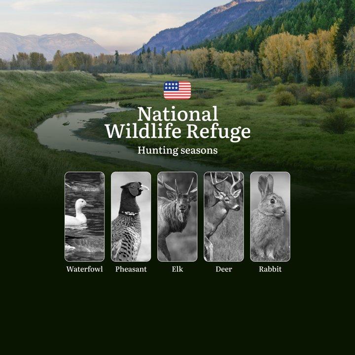 Seasons of Hunting in National Wildlife Refuge: Rules, Dates of Hunting and Features for Hunters in the USA