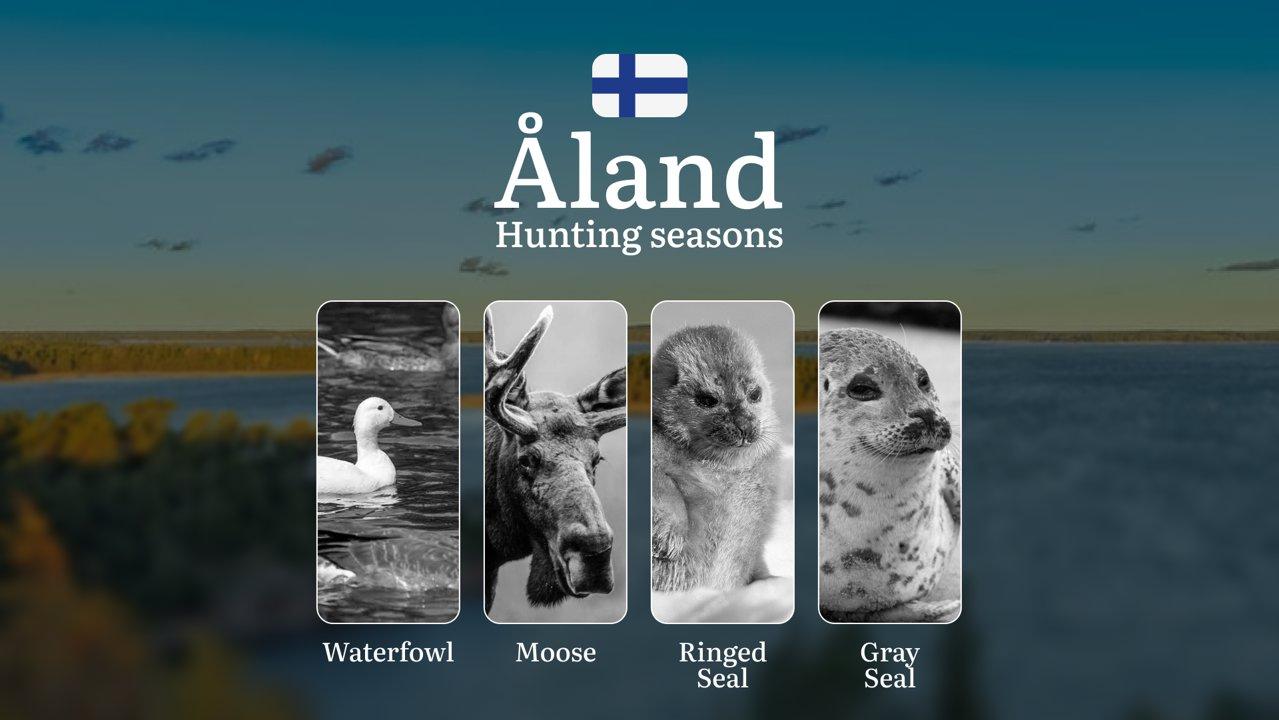 Hunting Seasons in ÅLAND: Opening and Closing Dates, Game Behavior, Required Licenses, Key Rules, Special Hunting Events and Traditions

The Åland Islands, an autonomous 