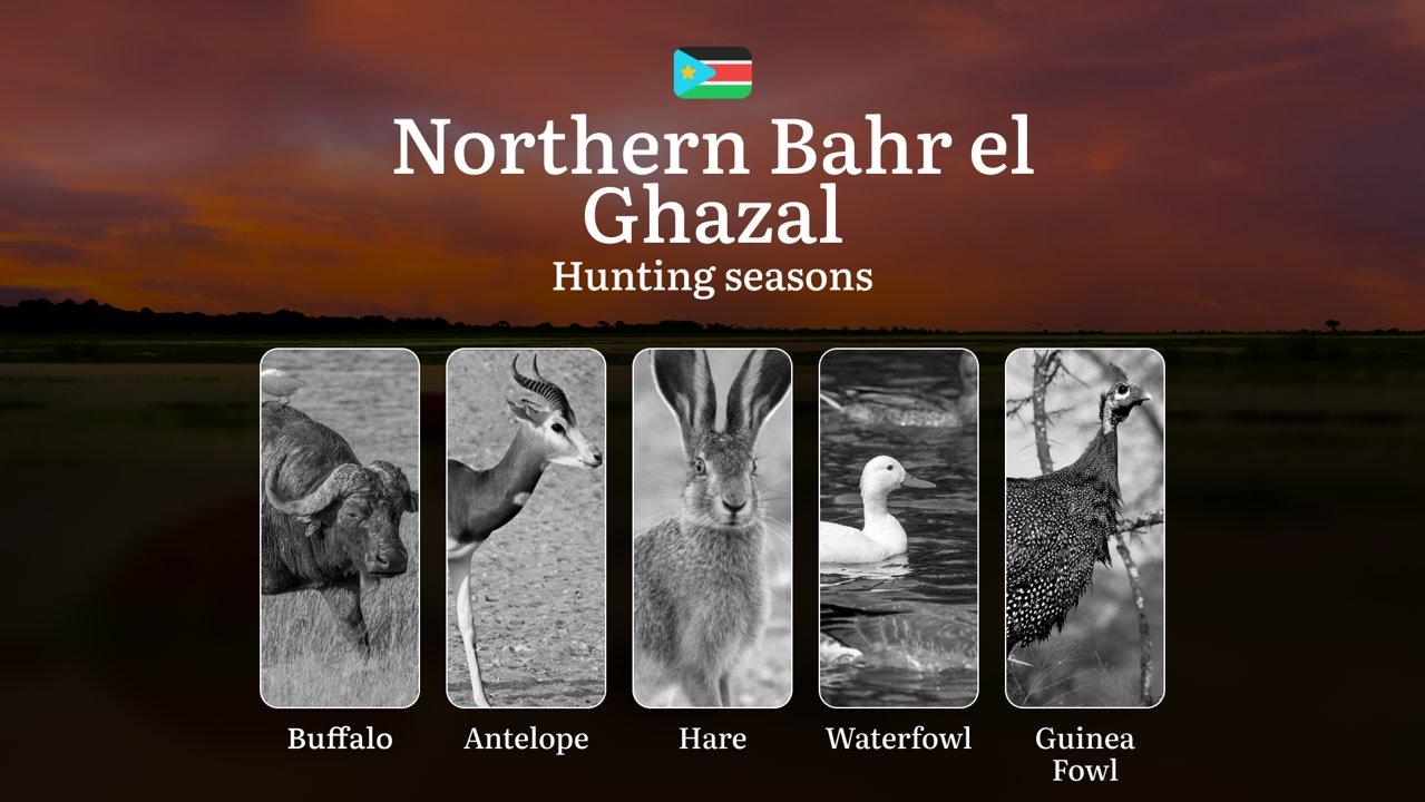 Hunting Calendar <strong>for</strong> Northern Bahr el Ghazal: Regulations, Permits, and Best Time <strong>for</strong> Hunting, Documents and Organizations

Hunting <str