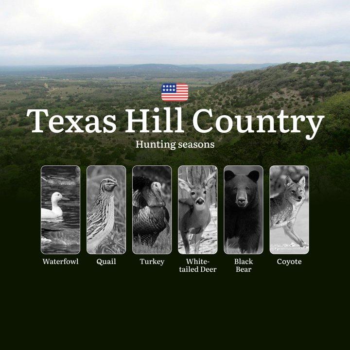 Hunting Seasons in the USA, Texas Hill Country: Timing, Regulations, Permits and Tips, License and Permits