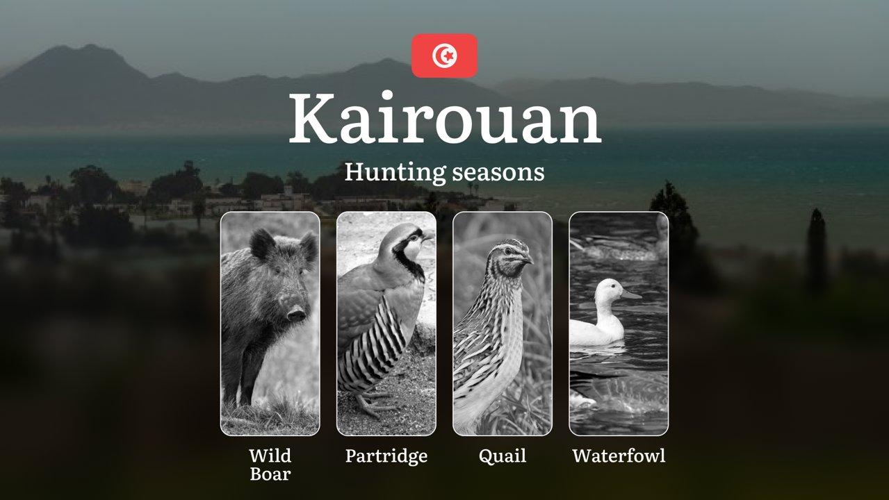Hunting Seasons in KAIROUAN: Key Opening/Closing Dates, Optimal Periods, License Requirements, Protected Species, Restrictions, Equipment Considerations and General Rules