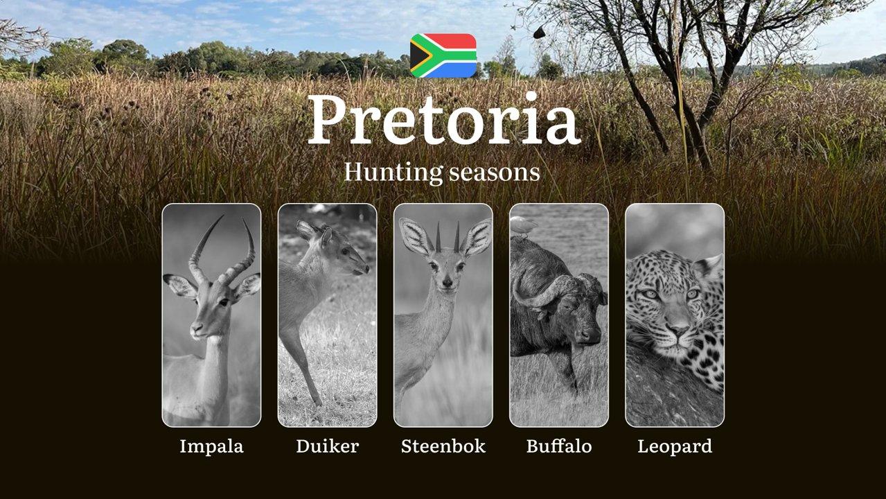 Dates of Hunting in South Africa: Pretoria Region – Seasons and Periods, Regulations and Permits, Permits and Times for Hunting