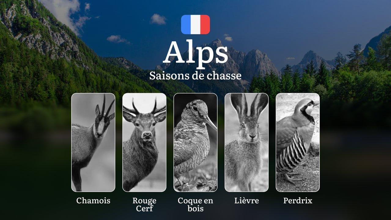 Saisons de chasse dans les ALPES: Calendrier Complet, Obtention des Permis, Interdictions et Conseils Pratique