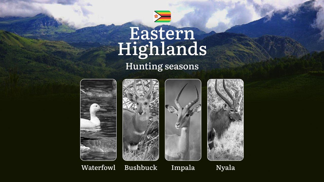 Hunting Seasons in Zimbabwe, EASTERN HIGHLANDS: Timing, Regulations, Tips and Permits for Hunting, Consequences of Violating Hunting