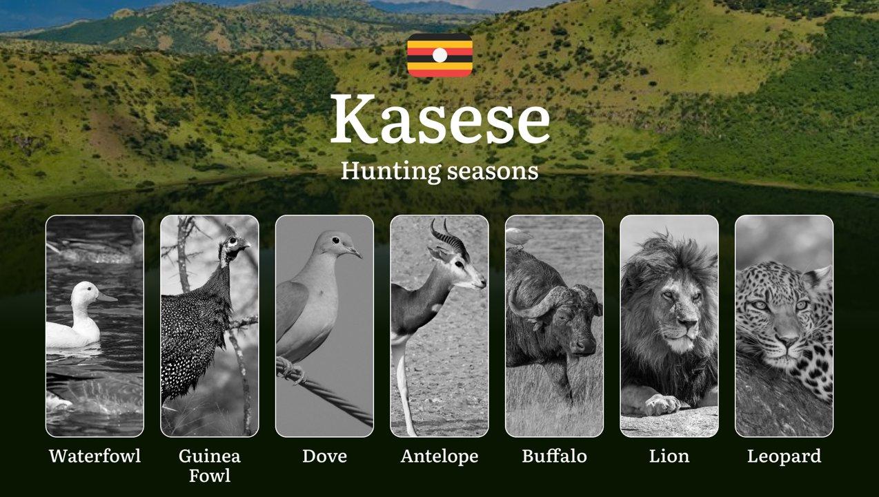 Hunting Access Dates in Kasese: Key Hunting Periods for All Species, Restricted Areas, Rules and Exceptions, Getting Your License, Gear, Locations, and Optimal Timing

Hu