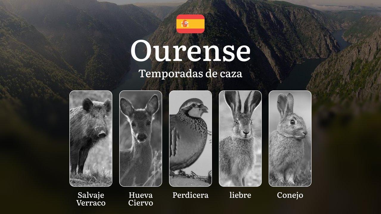 Caza en OURENSE: Temporadas y períodos de caza, Licencias y Épocas Ideales para la Práctica Cinegética en Galicia