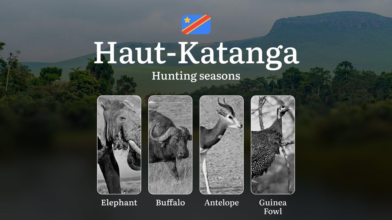 Haut-Katanga, DRC: Hunting Seasons, Regulations, and Expert Guidance