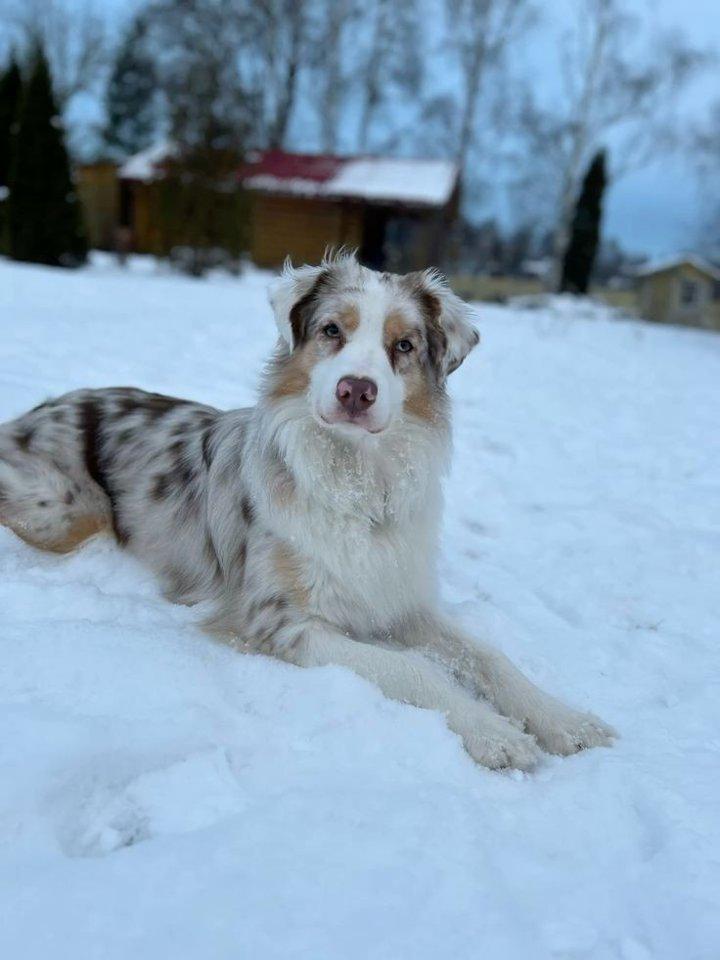 Гром