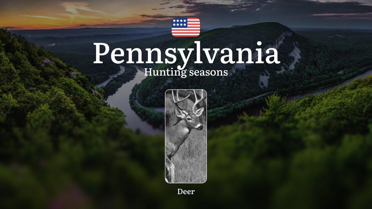 Seasons of Hunting in Pennsylvania: Dates, Licenses and Tactics, Consequences of Violating, Restrictions and Bans

How Deer Hunting Is Regulated in Pennsylvania

Deer hun